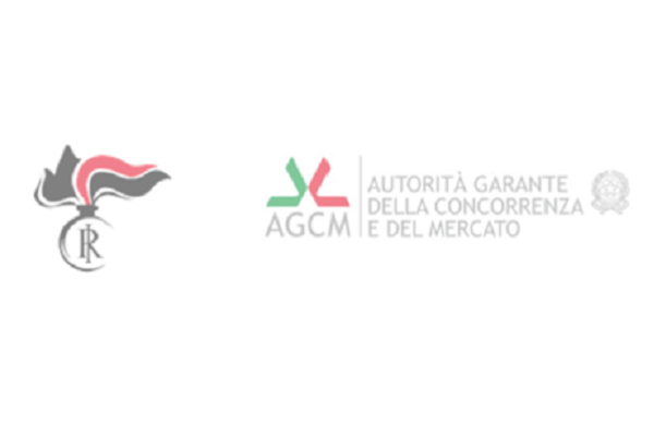 immagine allegata